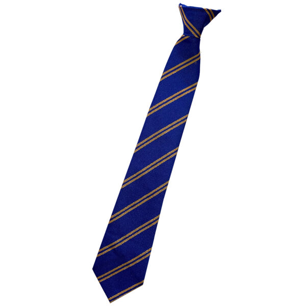 Somers Park School Tie Thumbnail
